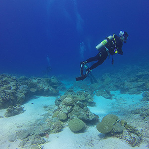 Rebreather Underwater Breathing System